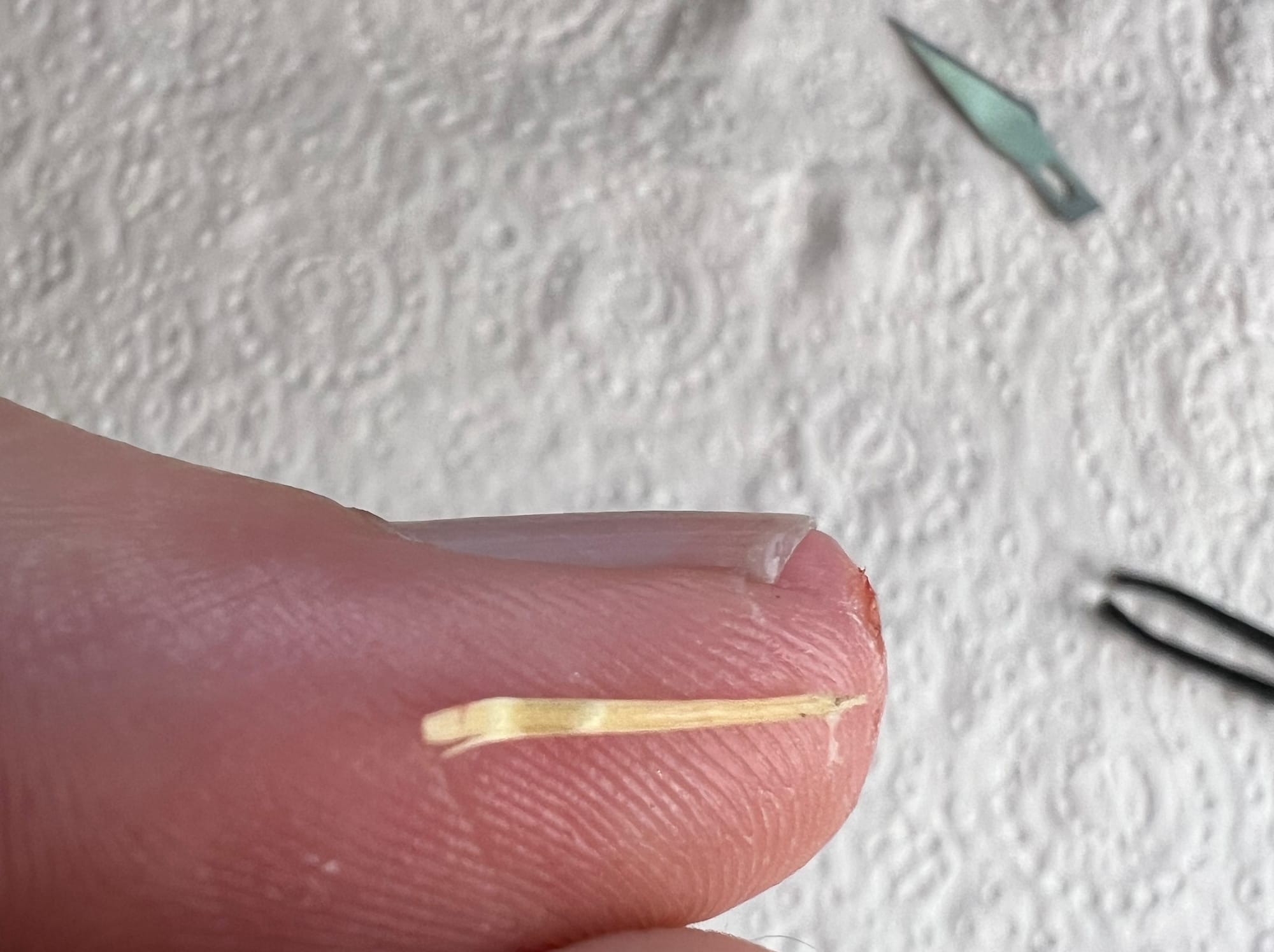 A picture of a splinter I pulled out of my thumb against my thumb, with the tools I used in the background.